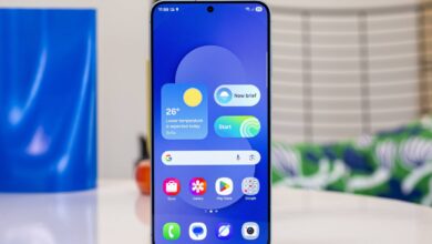 Samsung Galaxy S25 FE: A concise review.