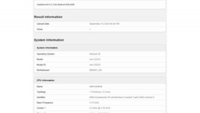 Vivo X300 reportedly scores on Geekbench benchmark.