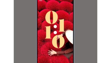 Xiaomi's upcoming flagship phone leaked online.