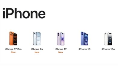 iPhone 16, 16 Plus cheaper; Pro model discontinued.