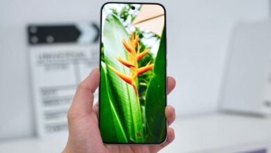 iQOO 15: Immersive Screen Details Unveiled, Every Pixel Explored.