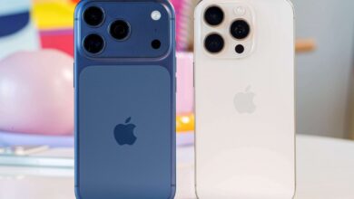 Apple's iPhone: Fall & Spring Unveils, A Brand New Two-Phase Strategy.