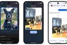 Pixel Perfection: New Features Rolling Out This November!