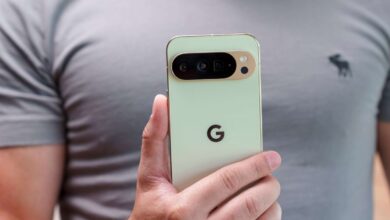 2025 Winners and losers: Google 2025 Winners and losers: Google