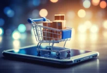 Fars Industry Official: Internet Blackout Impacts 4,000 Digital Businesses