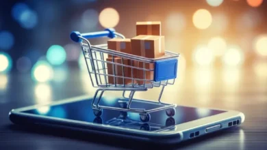 Fars Industry Official: Internet Blackout Impacts 4,000 Digital Businesses