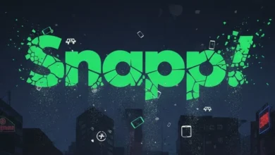 Snapp Warns of Digital Economy Collapse Amidst Internet Blackout