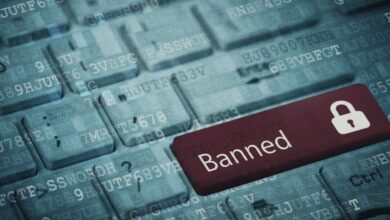 Specialized Media Outcry Over Discrimination in International Internet Access