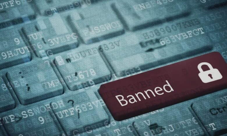 Specialized Media Outcry Over Discrimination in International Internet Access